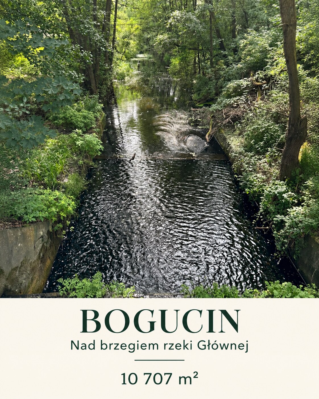 Bogucin — plansza fotograficzna 1 z 9