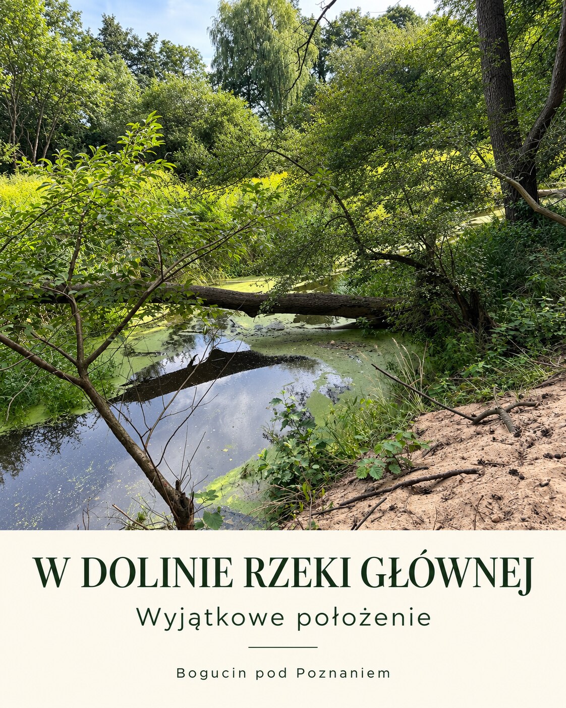 Bogucin — plansza fotograficzna 3 z 9