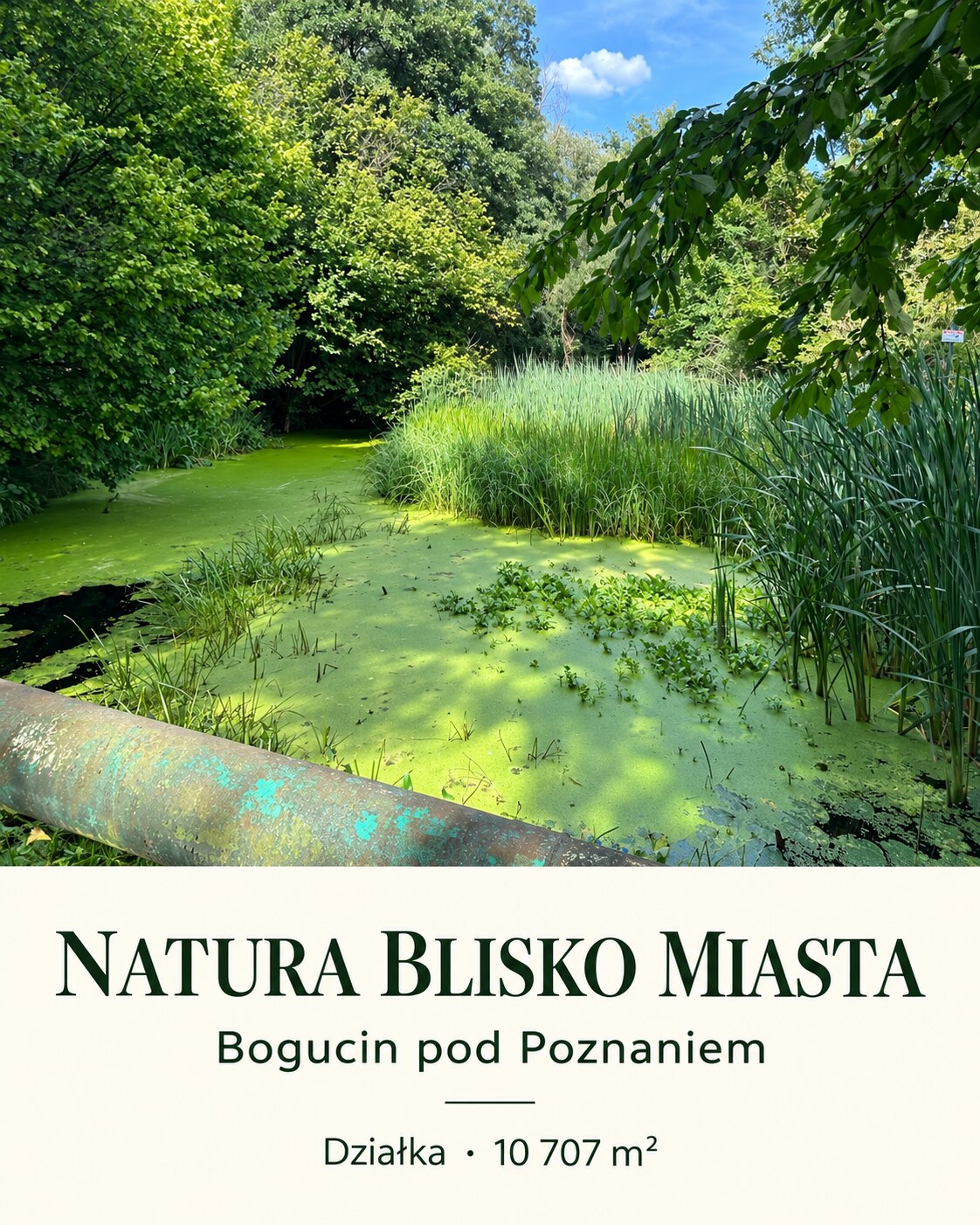 Bogucin — plansza fotograficzna 4 z 9