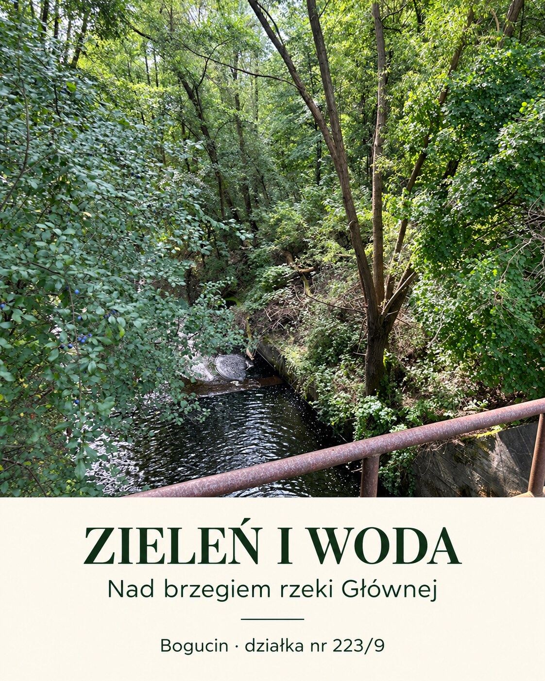 Bogucin — plansza fotograficzna 5 z 9