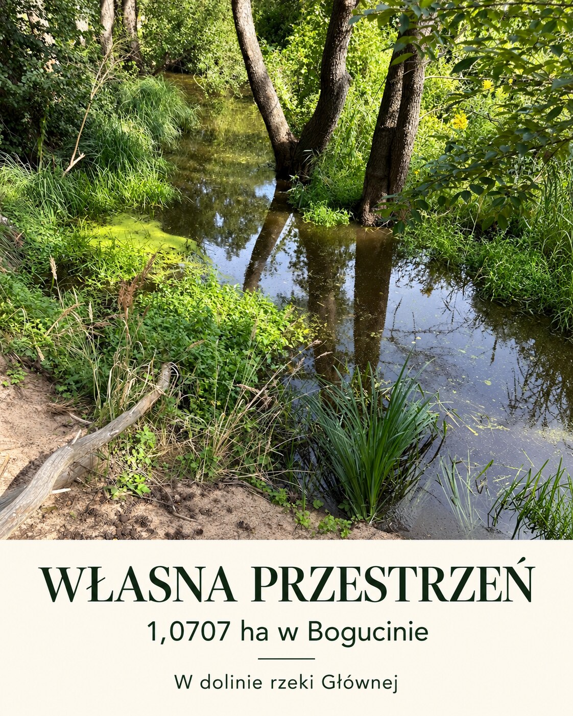 Bogucin — plansza fotograficzna 6 z 9