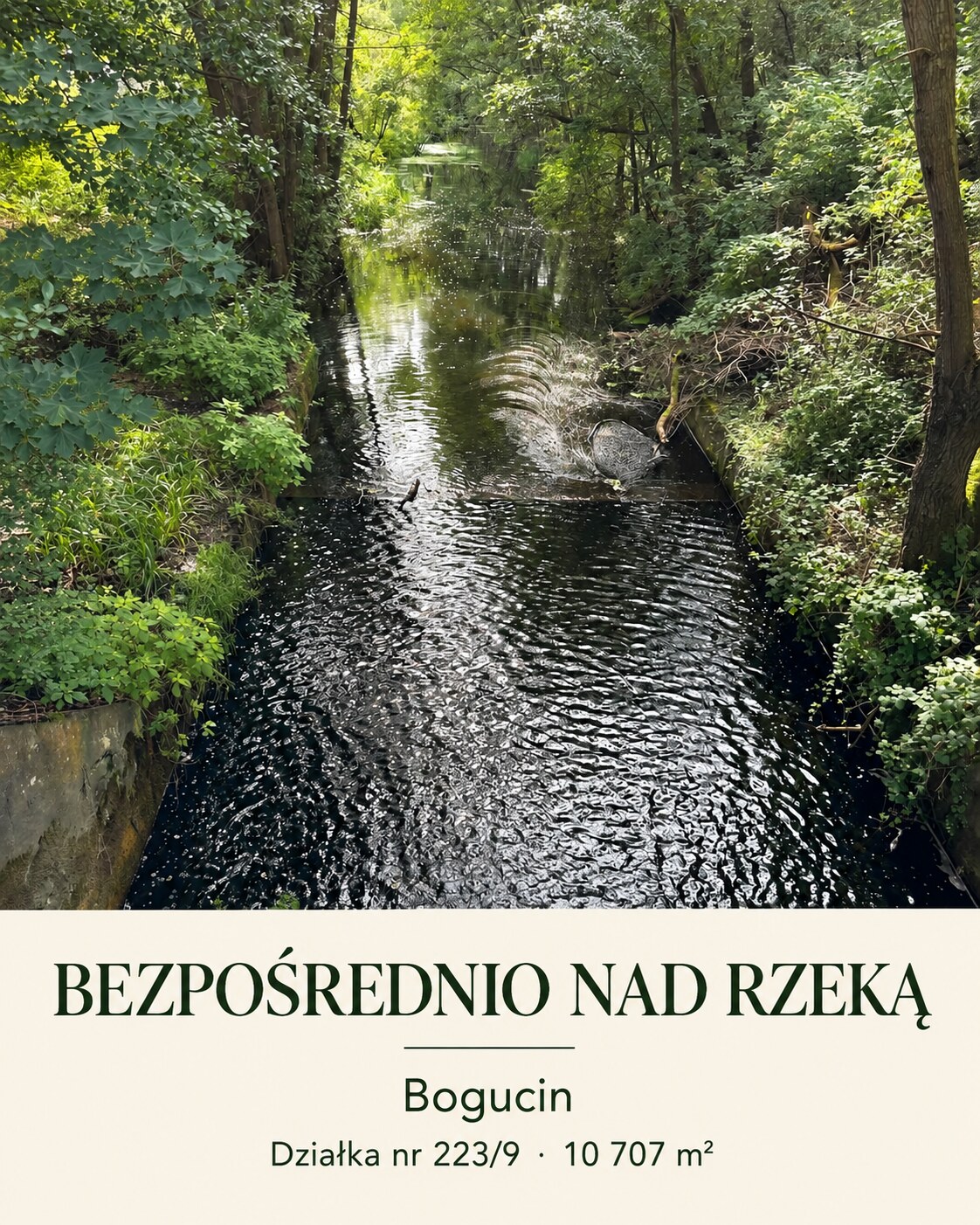 Bogucin — plansza fotograficzna 7 z 9