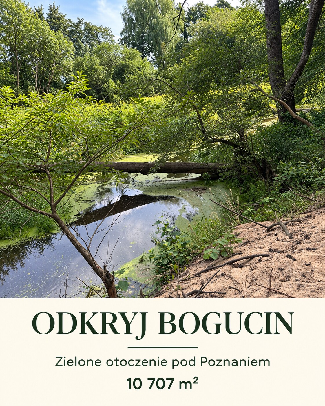 Bogucin — plansza fotograficzna 8 z 9