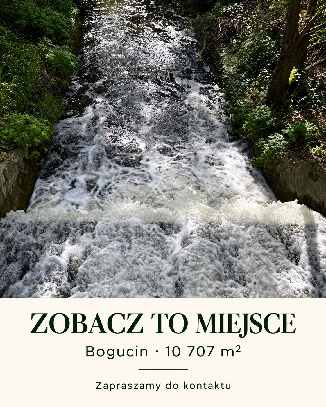 Bogucin — plansza fotograficzna 9 z 9